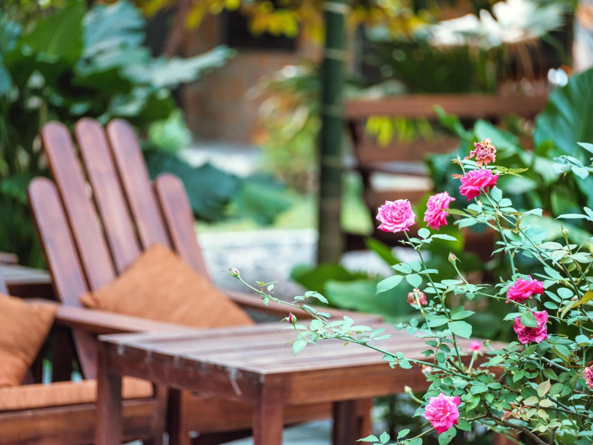 Cozy Beer Garden Homestay Ninh Binh Exterior foto